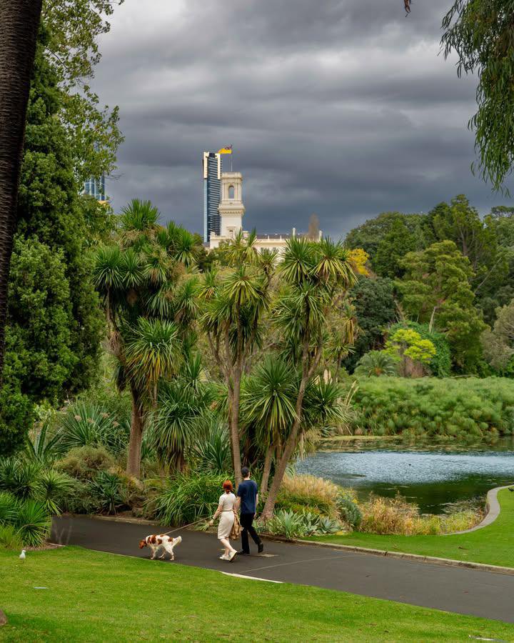 WorldCityX's tweet photo. It��s a treat around the Royal Botanic Gardens…💙 https://t.co/6IlMawBvuq