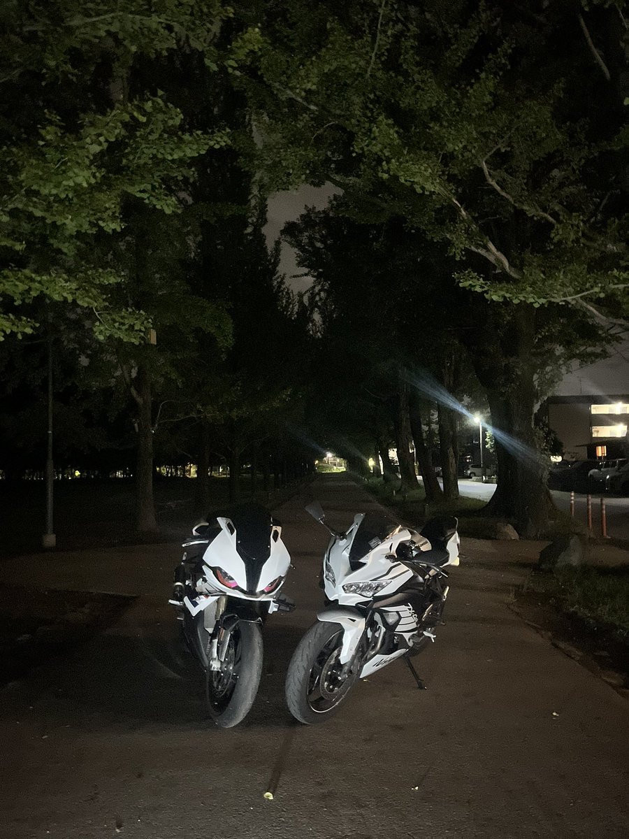 zx4r_sr's tweet photo. 🤍×🤍 https://t.co/O6dT3Ogmu9