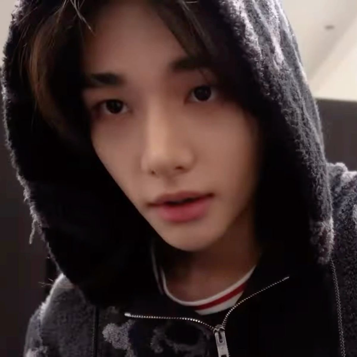 for_hynjin's tweet photo. #누구보다_빠른_10월_최애_선점 
훙디니 짱 https://t.co/RhrXM8eDQm