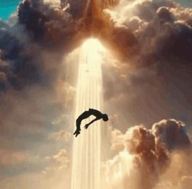 ripthedodobirds's tweet photo. how it feels https://t.co/cWDMdrahAG