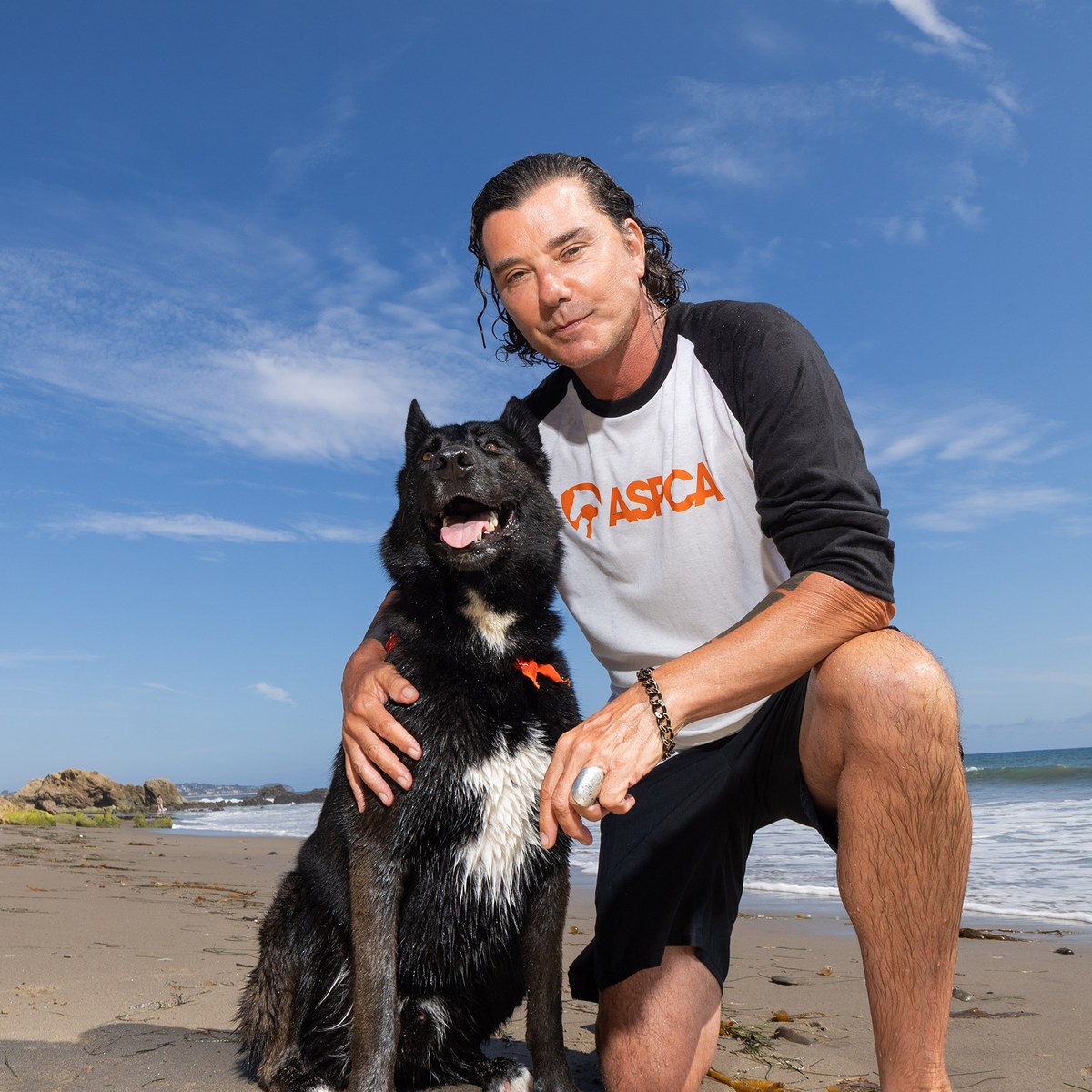 markolukac's tweet photo. Gavin Rossdale i spašena Kaya (ASPCA Rescue Effect): jedno udomljavanje oslobađa mjesto za sljedećeg psa. Imate li spašenog? 🐾 https://t.co/RTpcrrgcRZ https://t.co/vT9JnUdbVM