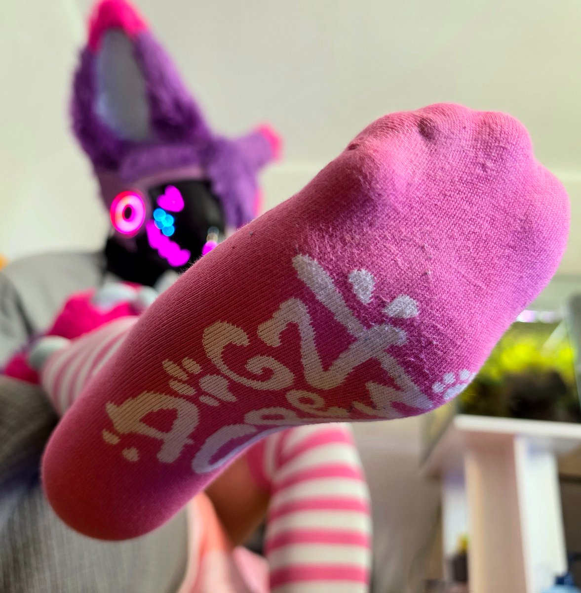 Mp3paws's tweet photo. Put your face in the place >:3 https://t.co/fKKoA0FRFl