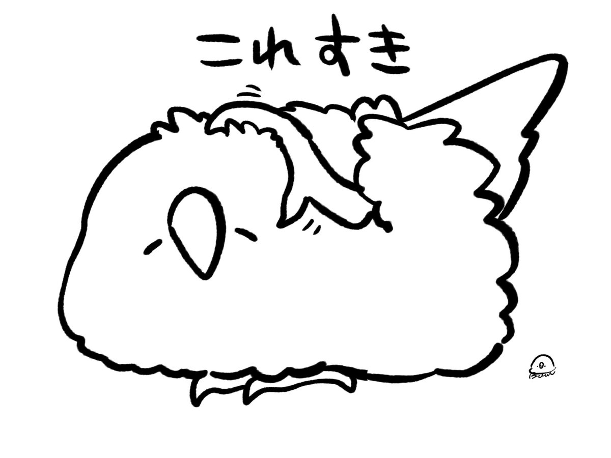 BuncheeAZ's tweet photo. インコのセルフ揉みは翼の前側から足出てるんだろうか？
描いた時は特に気にせず描いた…
にしてもこれすき https://t.co/QtrDJq6lE6