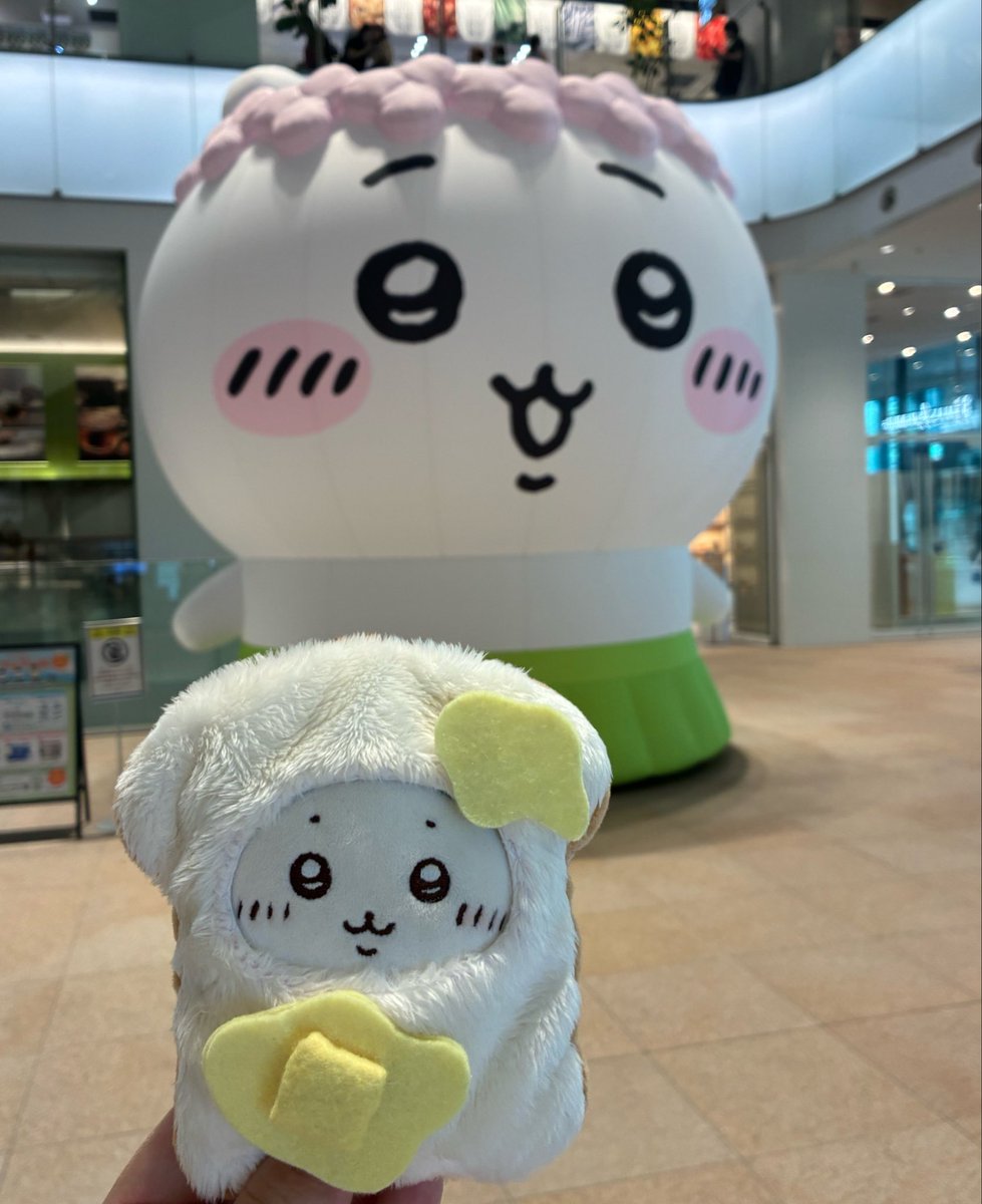 poyoon_tomo's tweet photo. ちいかわベーカリー最高空間だった
今年中にもう1回いきたい

でっかいちい様も可愛すぎた

この日のために作ったバタートーストワレちゃんと一緒に記念撮影📸‼️ https://t.co/UTJE3AW8jB