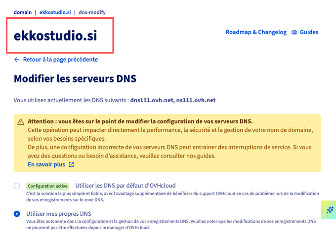 An OVHcloud domain management page for 'ekkostudio.si' showing the option to modify DNS servers, with a warning about the operation's impact on domain configuration.