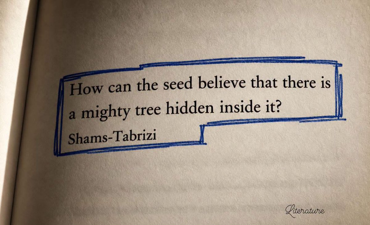 Lovandfear's tweet photo. Some of the greatest things in us are invisible at first. A seed doesn't look like a tree. A beginning doesn't look like a destination. And sometimes, you won't see your potential until you give yourself enough time, patience, and faith to grow. Trust what is still becoming. https://t.co/DanMT8UijC