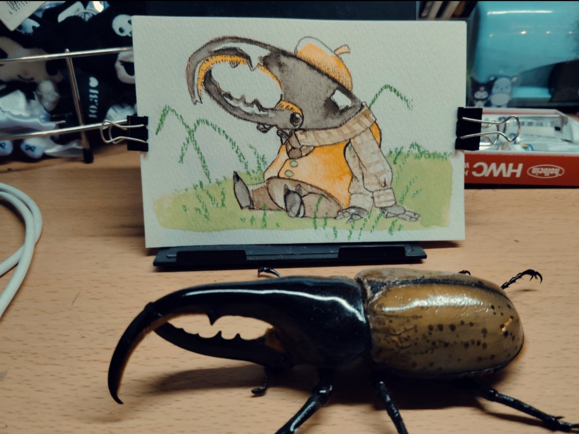 asihida_asihida's tweet photo. Mr. Hercules has a real beetle who served as his model

He had a failed emergence from the pupa, which left his horn curved. But to me, that was not a flaw at all — it was simply a wunderbar part of his individuality

That is why Mr. Hercules has a curved horn https://t.co/7osPmWyNNd