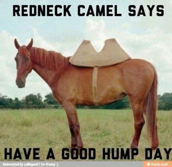 DinkDirty's tweet photo. Good morning https://t.co/VSMy2i7CM9