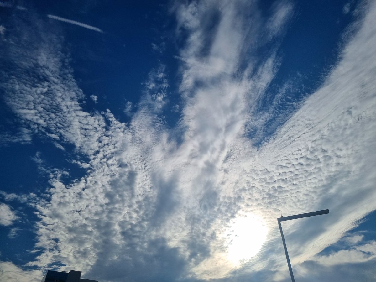 KaLe0627's tweet photo. 마나분들 9월도 이제 지나갔네요😢
이제 연말까지 2개월30일 뒤면 연말이네요😓
시간 진짜 빠르단말이죠..
앞으로도 잘 부탁 드려요🤭
다들 10월도 힘내자구요💙
파이팅!🍀 https://t.co/YSsZUZJ3Ms