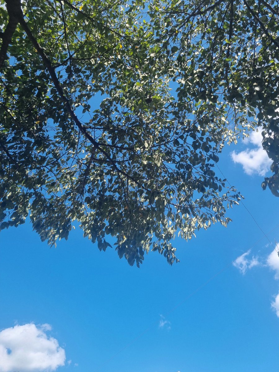 KaLe0627's tweet photo. 마나분들 9월도 이제 지나갔네요😢
이제 연말까지 2개월30일 뒤면 연말이네요😓
시간 진짜 빠르단말이죠..
앞으로도 잘 부탁 드려요🤭
다들 10월도 힘내자구요💙
파이팅!🍀 https://t.co/YSsZUZJ3Ms
