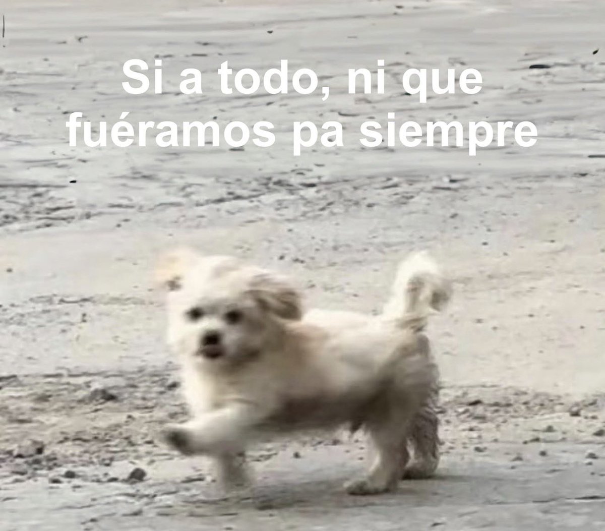 conoloracigarro's tweet photo. https://t.co/MtTPdLgcQX
