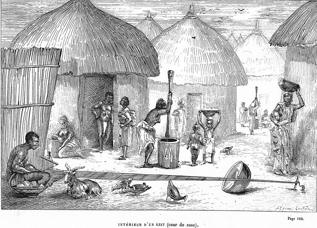 dan_p_ofem's tweet photo. Prisoner, Guest, Witness

It’s 1874. Kumasi is humid. The air smells of woodsmoke, palm oil, and red earth after rain.

A Frenchman named Marie-Joseph Bonnat sits in the shade of a compound wall. 
He wasn’t supposed to be here. 
Five years ago, his expedition was attacked, and he became an Ashanti prisoner. 
But they didn’t keep him in chains. 
They put him to work, watched him, and slowly, he came to understand them.

He spent those years sketching on scraps of paper. Not battles. Not kings. 
The ordinary.
Women pounding fufu in the cour de case - the courtyard.

Children darting between the steep, rectangular thatched buildings.

Elders sitting on low stools, talking while passing around kola nuts.

The walls of wattle-and-daub clay, covered in intricate geometric Adinkra reliefs. 
The high-pitched roofs. The way every compound opened inward to a shared space instead of outward to a street.

Released at last, Bonnat took his notes and rough photographs back to France. 
Parisians obsessed over "dark Africa" stories, but they only ever saw images of war and palaces. 
Bonnat wanted them to see the home.
He handed over his materials for documentation, which eventually reached Saint-Elme Gautier.

Gautier never went to Ashanti. He worked in a Paris engraving studio, squinting at Bonnat’s smudged sketches. 
His job was to turn them into something a printing press could reproduce: a wood engraving with sharp lines, heavy cross-hatching, and clear storytelling.

So he carved "Bonnat Aschantidorf".

In the center: a courtyard. Not a palace, not a battlefield. Just life.

To the left, two women grind in a mortar. One laughs at something the other said.

In the middle, men sit talking. One gestures as if telling a story.

Kids are everywhere, chasing a chicken, leaning in doorways, being shooed by an elder.

The rectangular structures circle the space like arms. That was the point. In Ashanti, the family was the architecture. 
The courtyard was where disputes were settled, food was shared, and news arrived.

When the engraving was finally published in Jules Gros' 1904 account of Bonnat's captivity, French readers leaned over it and saw something unfamiliar: not “savages” or “warriors,” but people doing dishes and gossiping. 

For a few minutes, Ashanti wasn’t an empire on a map. It was a neighborhood.
Gautier signed it, the book sold, and the original drawing faded into archives. 

But the image stuck because it did something rare for its time: it showed dignity in the ordinary.
Bonnat returned to Ashanti a year later, not as a prisoner, but because he missed it. 
He said he’d “finished admiring them from a distance.”

That’s the quiet power of "Bonnat Aschantidorf". 
It’s not a painting of a king. It’s a drawing of a Tuesday afternoon in a courtyard, and because of that, it has lasted.