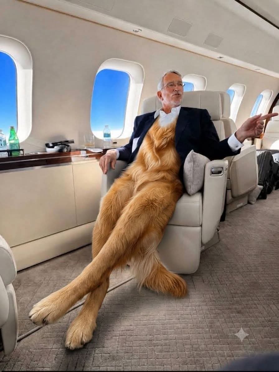 AliciaJ86958882's tweet photo. ¿Y la perra?
... pues allí anda muy casual, escapando de la realidad 🤣 https://t.co/OhoVCQQ8Z9