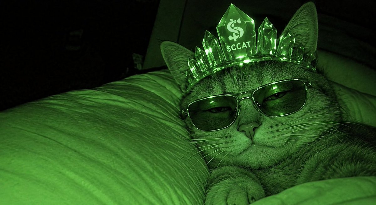 Visionary0447's tweet photo. 🐱💎 WHEN THE MARKET SLEEPS, CRYSTAL CAT STAYS AWAKE.

Relaxed. Focused. Unbothered. 😎🐱

$CCAT isn’t here for a quick moment 
 it’s building towards something bigger. 
Keep your eyes on the vision, stay informed, and let the journey unfold. 🚀💎

Crystal Cat https://t.co/RnYT3LbpOp