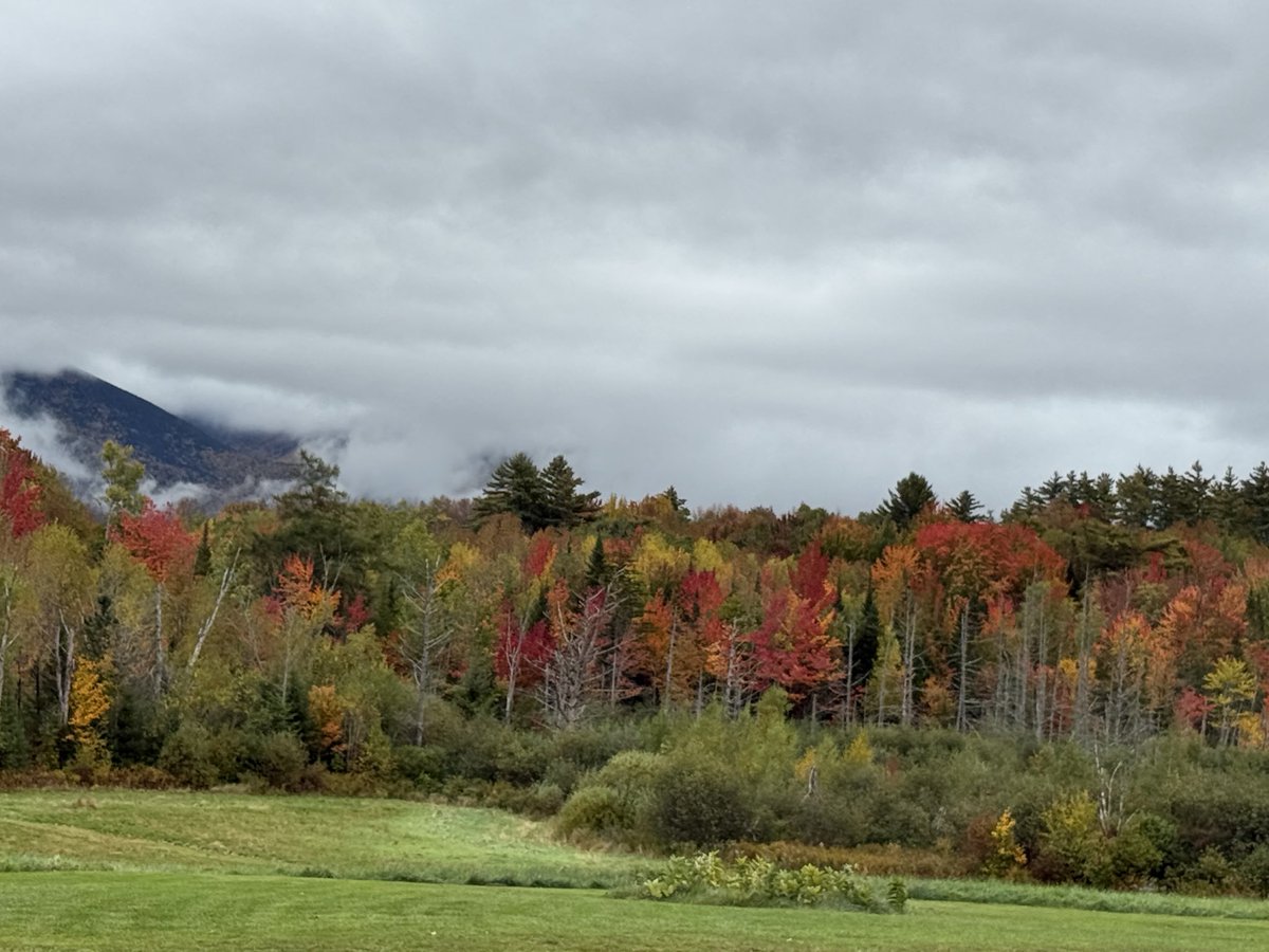 baxterca2's tweet photo. @ericfisher It's true!! I've seen it with my own eyes 🍁 https://t.co/hsWFt7bvOM