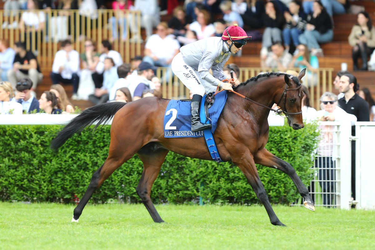 rpbloodstock's tweet photo. "He's an exemplary horse with a great temperament, combining a sharp turn of foot with the speed of a top-class miler."

Prix du Moulin winner Sahlan retired to Haras de Bouquetot for 2027 👉 https://t.co/uStMQtnY3j https://t.co/PTNRvLYBVg