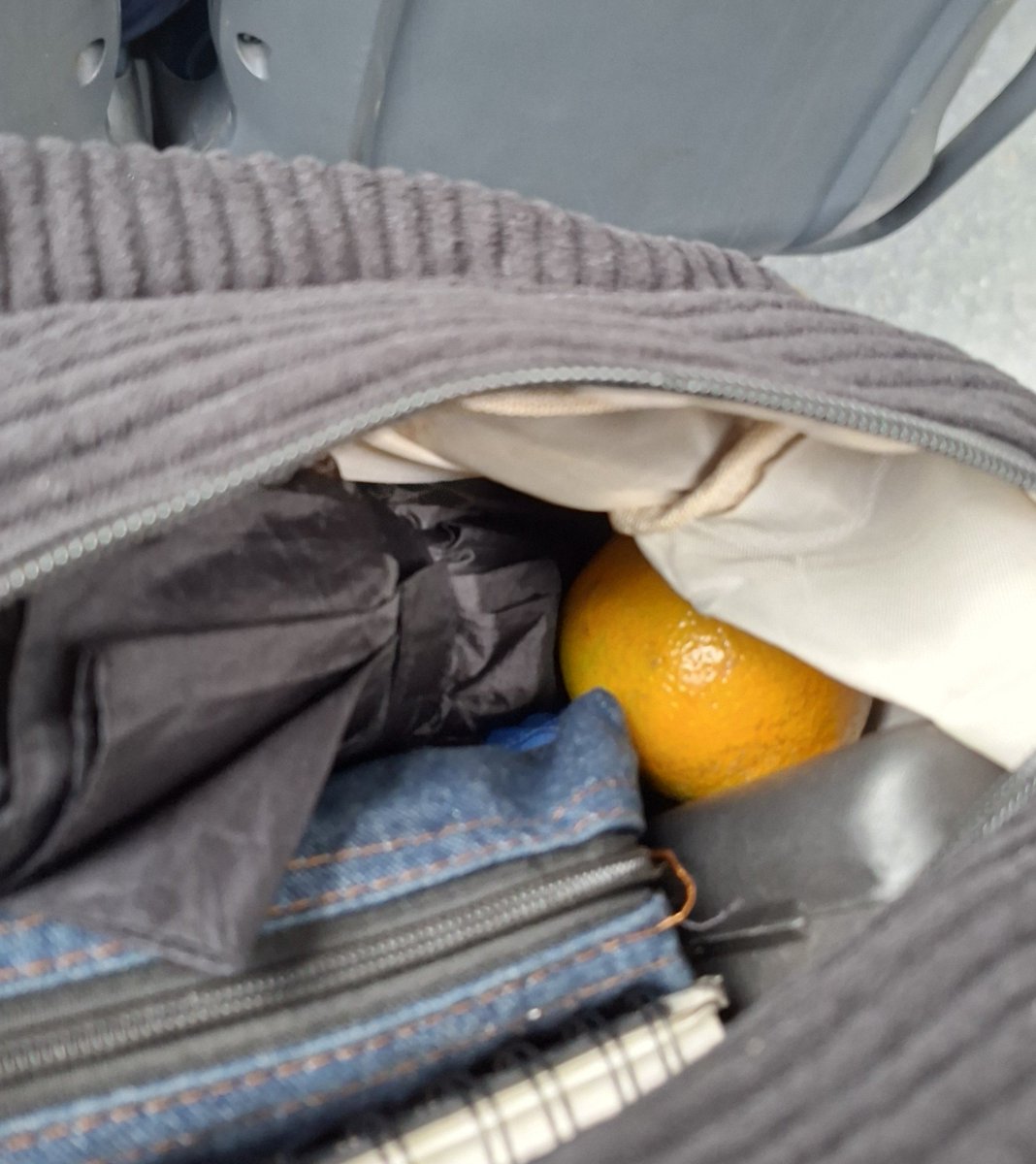 _asleependive's tweet photo. ninguém aqui no 3539-10 sabe que eu tenho uma laranja de bolsa https://t.co/TITyhDFfdZ
