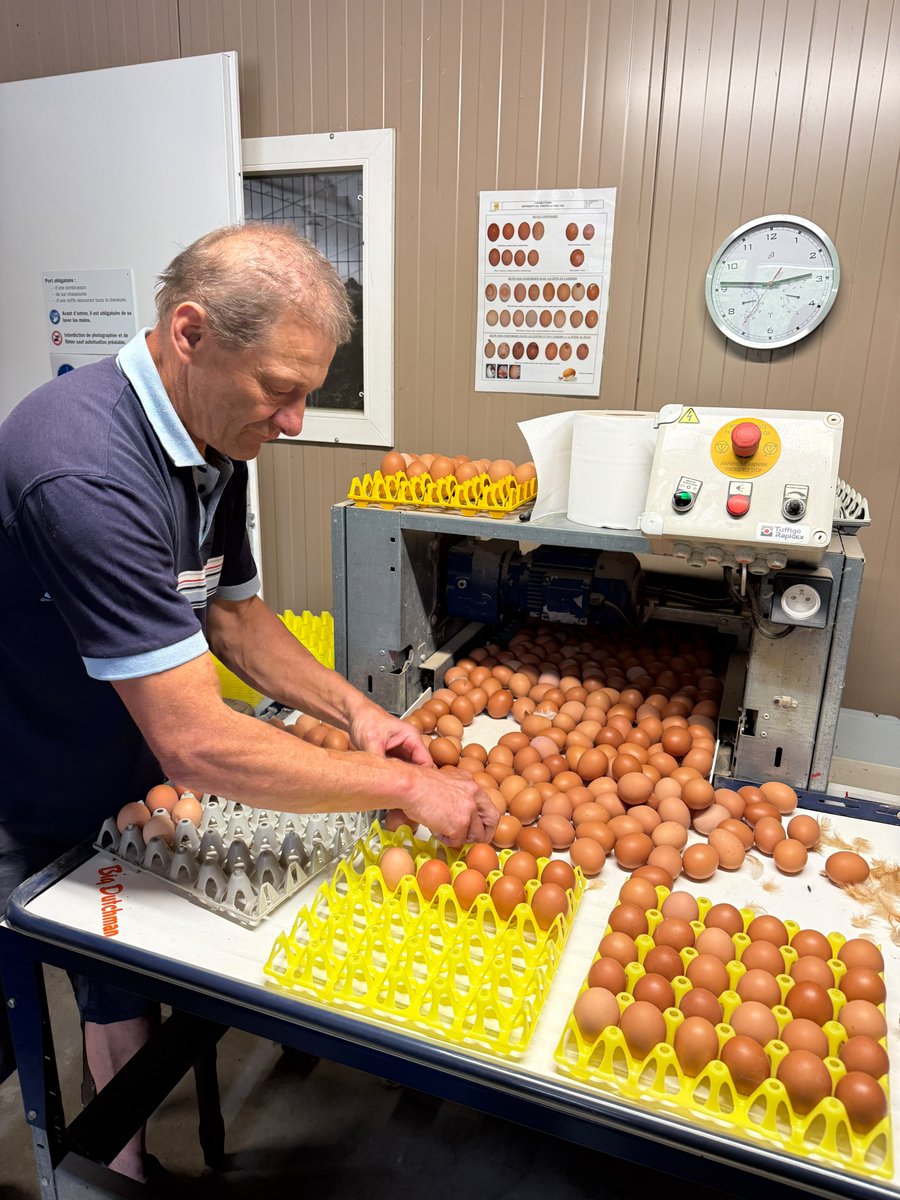 ServiceInfoCNPO's tweet photo. 📷 Dernière étape chez les frères Candy ! Leur ferme familiale produit des œufs Label Rouge grâce à un poulailler de 6 000 poules, avec accès à un parcours extérieur arboré. Les œufs sont collectés deux fois par semaine par Envie d’œufs Sud-Est. #ŒufsDeFrance #LabelRouge https://t.co/9k8ZO9Wek5