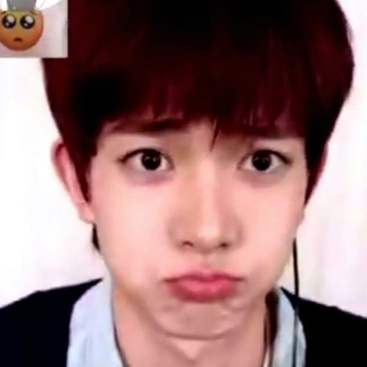 heestoothpaste's tweet photo. hi oomfs i miss all of u https://t.co/0juKlHnPHs