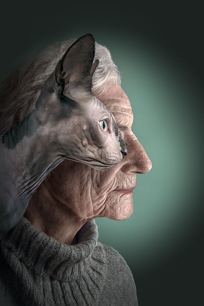 artgalore's tweet photo. "Sphynx and Woman Portrait" by Marcel Egger. Striking and a little surreal, a conversation piece for art with an edge.

https://t.co/4BnSua95mo https://t.co/Et4WnNx8vh