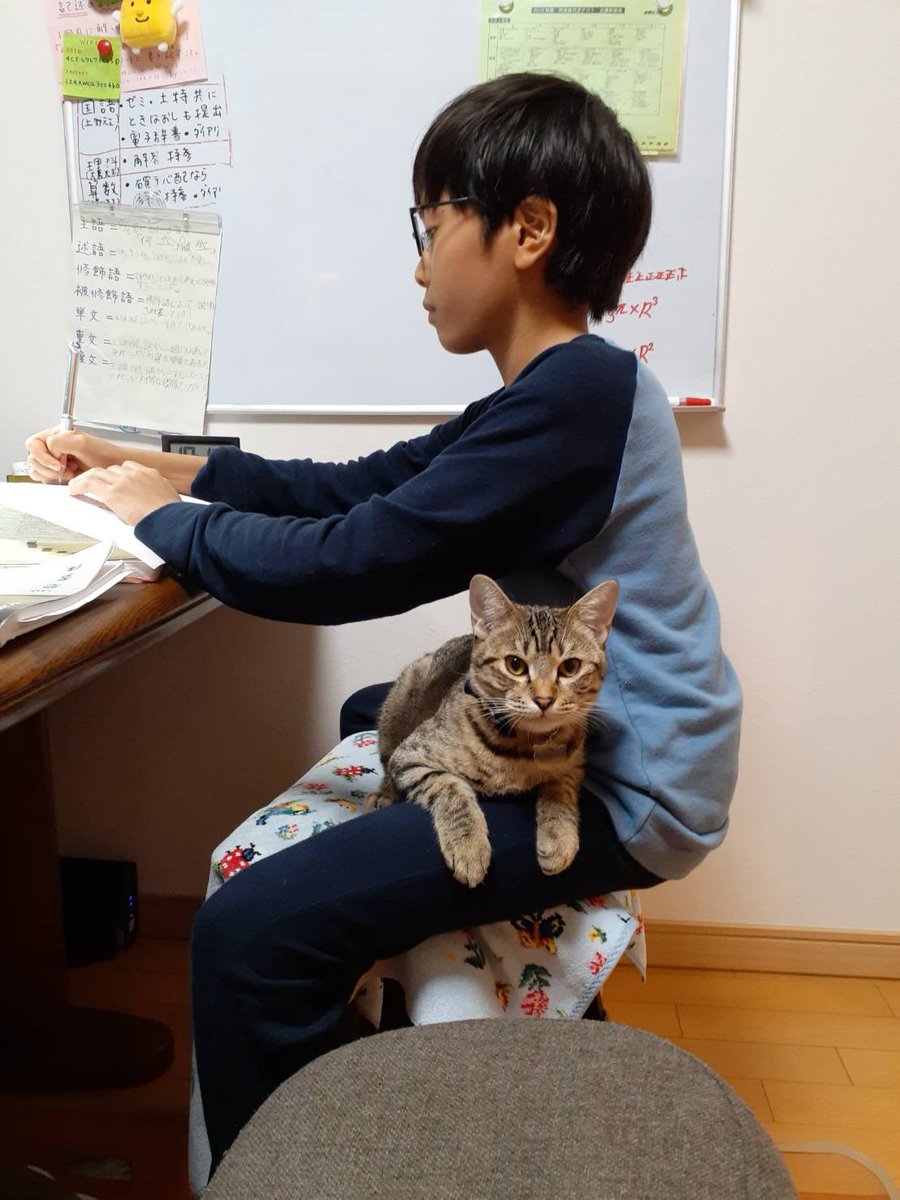 yeonjun_tdj's tweet photo. 幼少期の写真掘り返してるけど、小6から高三めっちゃ成長した気する。父母ありがとう。 https://t.co/3TzZZhuYyQ