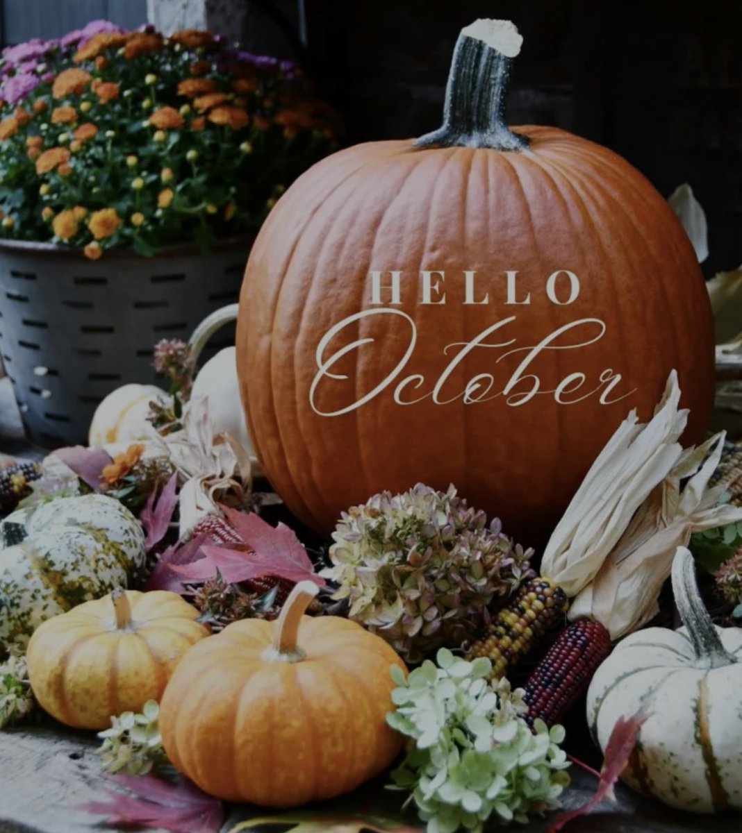 MaximumJen's tweet photo. Fall Events Clarksville TN 

October 2 • Downtown at Sundown - Rubik's Groove

October 3 • APSU Homecoming Game

October 3 • Artsville Festival 

October 3 • Port Royal Oktoberfest

October 4 • Sunday On Strawberry 

October 6 • Latern Hike at Rotary Park 

October 8-12 • LST 325 World War 2 Ship Tours

October 9-10 • BBQ Fest Across the River

October 10 • APSU vs Tarleton State Football

October 10 • Domino's Run for Govs 5K 

October 16 • AMA Partzilla Arenacross Championship

October 17 • Monster Mash-Haus Party

October 17 • Historic Greenwood Cemetery Tours

October 23 • Stranger Sings! The Parody Musical 

October 24 • Fright on Franklin 

October 24 • Rotary Park Fall Festival