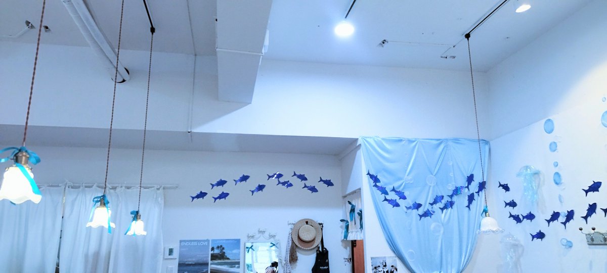 _d_Icecream_'s tweet photo. 🐬✨🐟🫧 https://t.co/8Dt0I6gLME