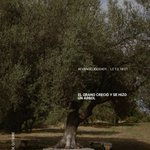 Photo by Sigüenza-Guadalajara (@obsigu)