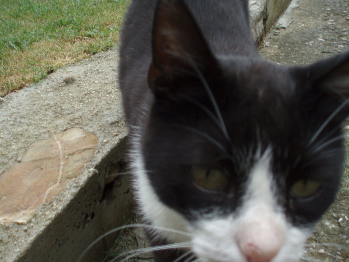 httpsosweet tweet picture