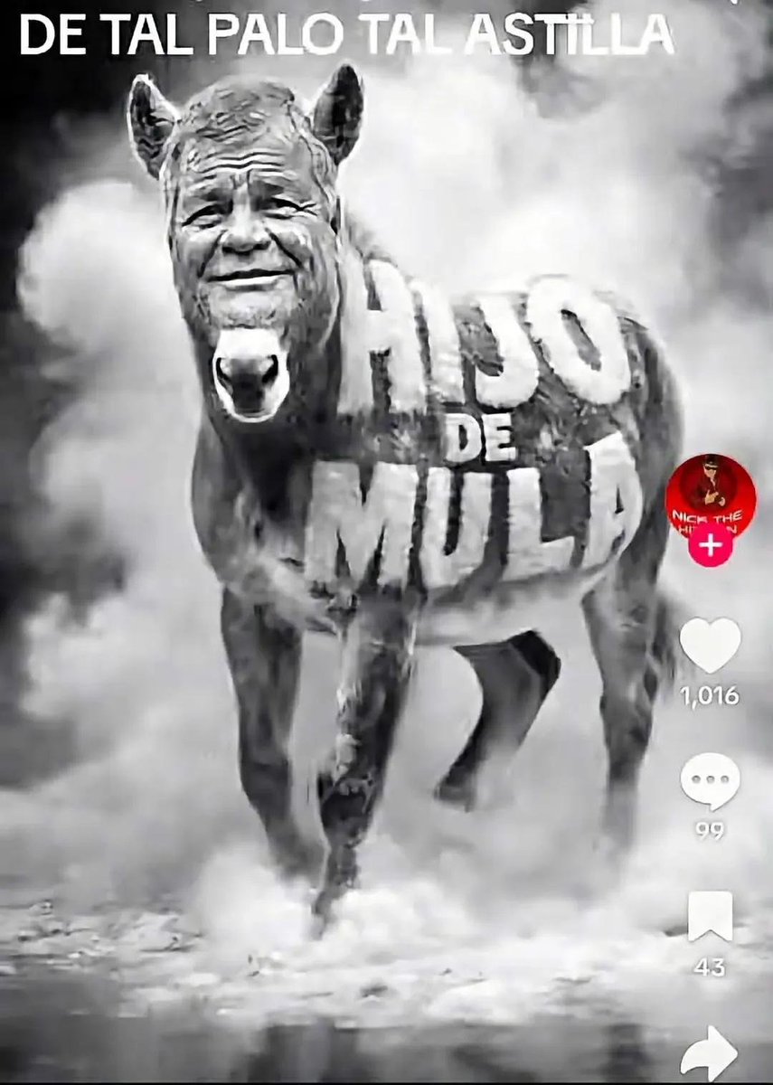 SolisChocho's tweet photo. @MashiRafael https://t.co/lrzkV6mMah