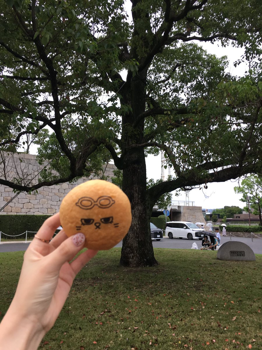 blackcatasan's tweet photo. #원도어트친소 #원도어

00이라 성인원도어 잡으러 ㄷrㄴㅕㅇㅛ🩵

♡ - 팔로우 

dm 거침없이 ㄱ ㄱ
진입장벽 낮음 ㅠㅠ
엔푸피 대가리 꽃밭입니다 🩷 https://t.co/tvPqIMKvx3