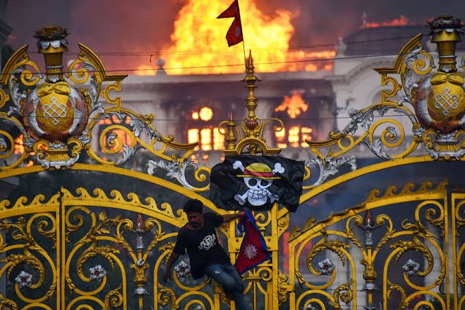 Bruno_F008's tweet photo. @OlumideFdrl_Esc One piece is literally one of the reasons anime got mainstream https://t.co/RTsGg13BmD