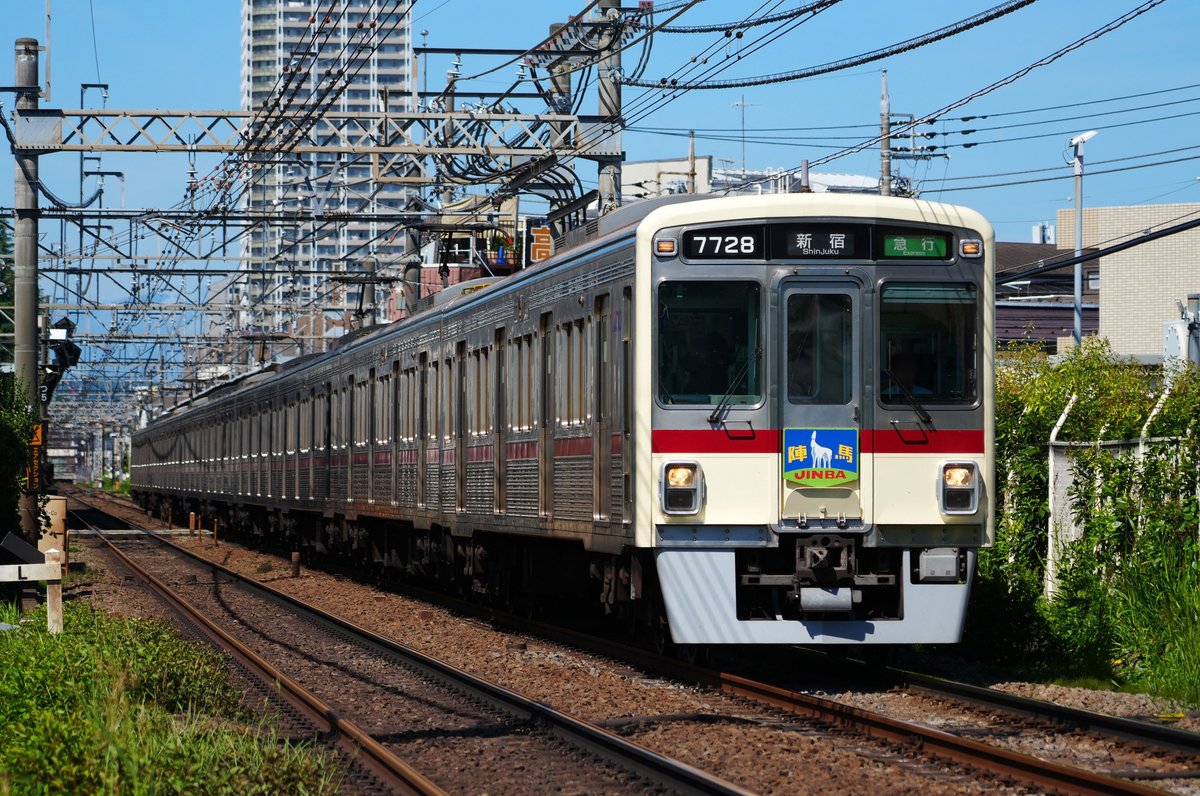 XIAORING's tweet photo. 今年2026年のこれまでに撮ってきた京王線いろいろ

1月31日　新型車両2000系デビュー当日
3月29日　せいせきカワマチで聖蹟桜ヶ丘の桜と京王線
5月10日　一面のシロツメクサと新型車両2000系
6月17日　臙脂帯復刻塗装7728編成に陣馬ヘッドマーク

ほら結局今年もまた聖蹟の多摩川ばっかり行ってる…… https://t.co/hXFuKmJoUh