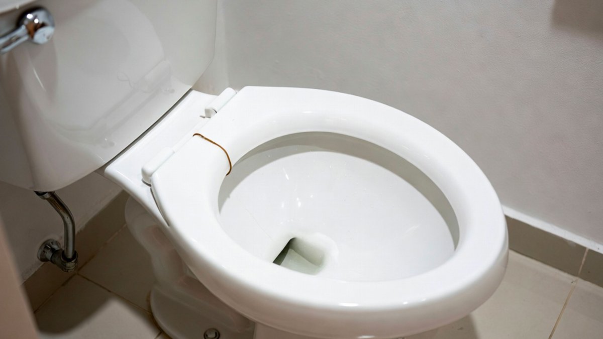 republicoftogo's tweet photo. Question absolument stratégique posée mercredi par Dounia : est-il possible d'attraper des #maladies en utilisant des #sièges de #toilettes ? #Togo 
https://t.co/LBxPs9XaUL https://t.co/hAP5nDBPI4