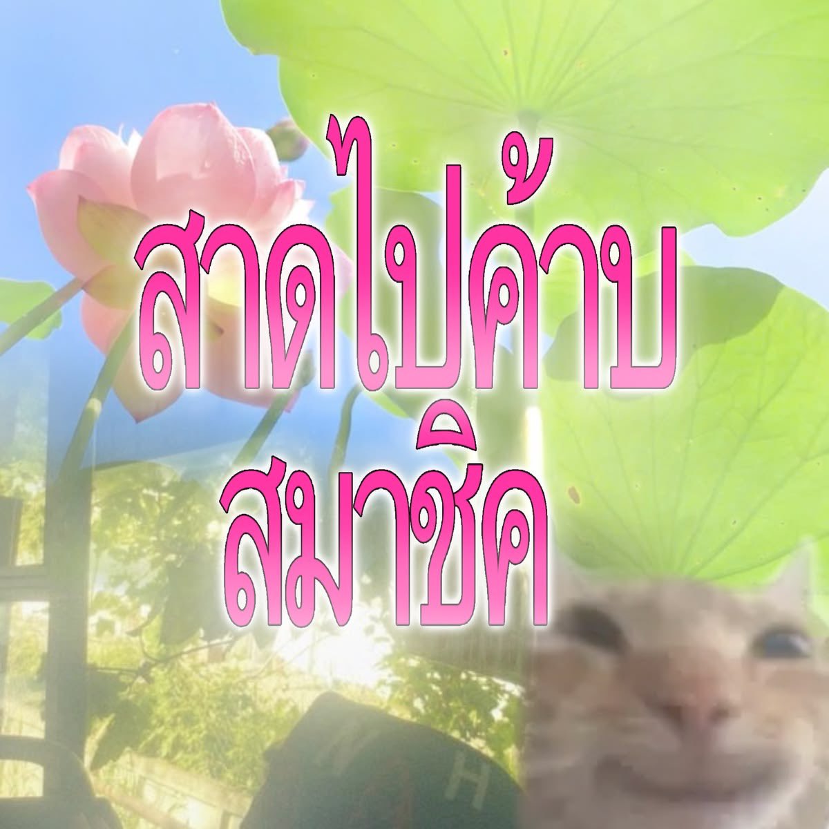 mminetee_333's tweet photo. recap ⋆⭒˚.⋆ SEPTEMBER ˎˊ˗
(✍️) วีคสุดท้ายเค้าวาร์ปมากทม.แปปนึงง มาพักผ่อนแต่น้ำท่วมคับ เป็นเดือนที่ทั้งหนักหน่วงเหมือนพายุตอนนี้เลย แต่ฟ้าหลังฝนย่อมดีเสมอ เค้าเป็นกำลังใจให้ทุกคนเลยน้าา 😽 เดือนนี้ได้ลองตีพาเดลด้วย! ตอนนี้ก็ทวนเนื้อหากับทำโจทย์วนไปคั้บ!
#studywminette https://t.co/Xfw3pmMKlq
