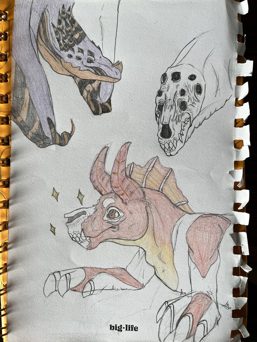 JuanaGamesYT's tweet photo. @Nocturne_serinu Some of my drawings. The first one and a few others are not finished https://t.co/v9Kua14Hhu
