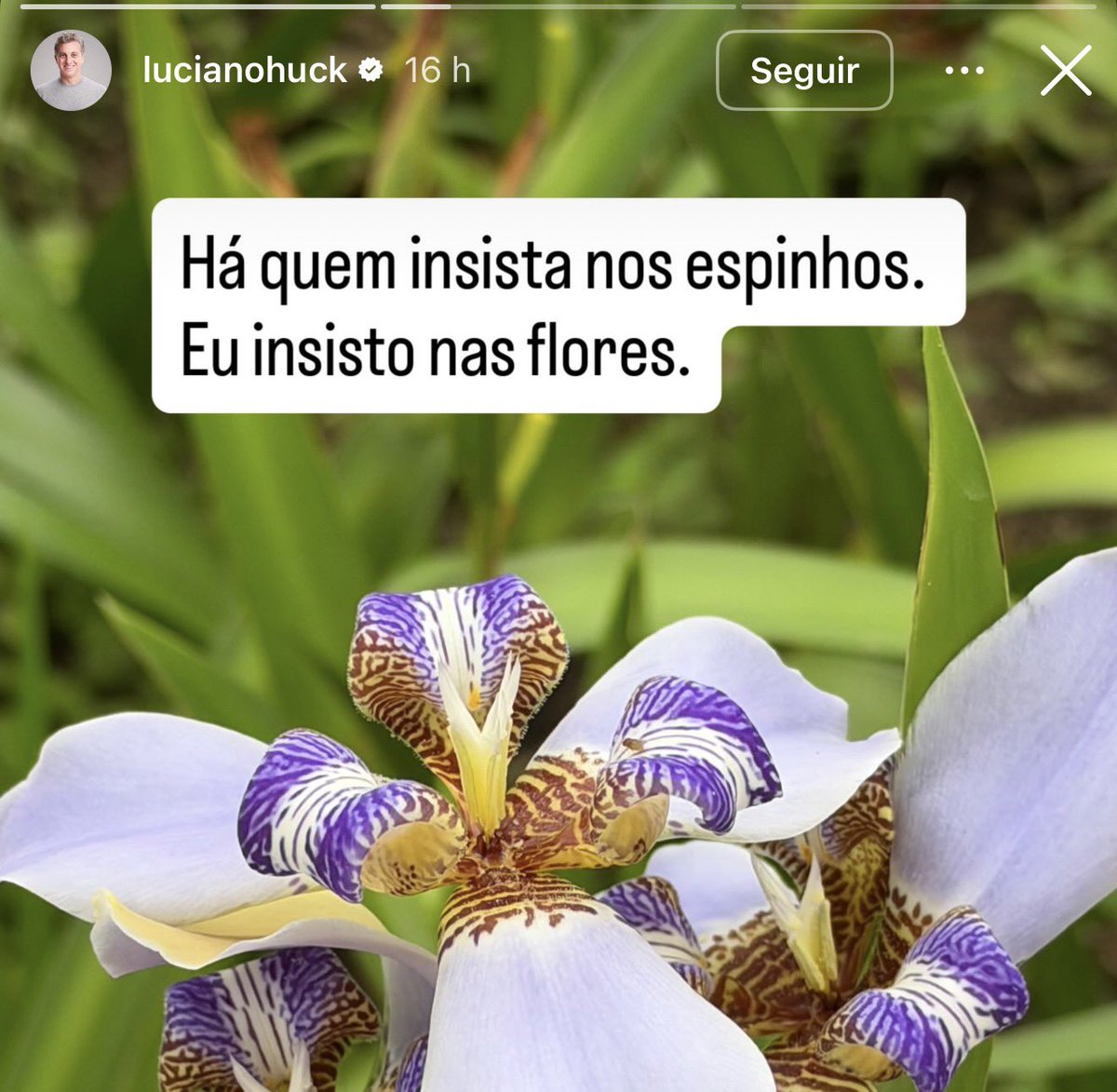 memexbrasil tweet picture