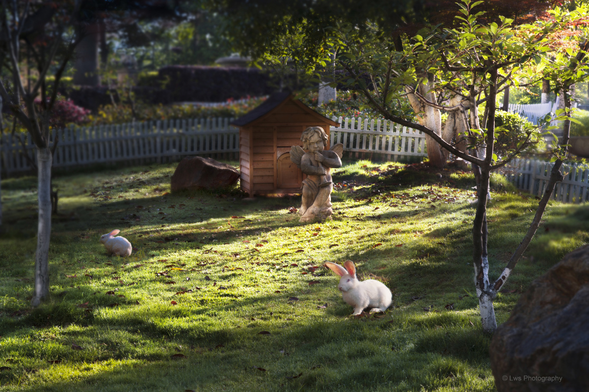 chris_vil99_2fb's tweet photo. I watched the rabbit abruptly hop across the slope before the rooster (酉谐音) and my trusted friend stood guard. https://t.co/w3Wx8uUjIV