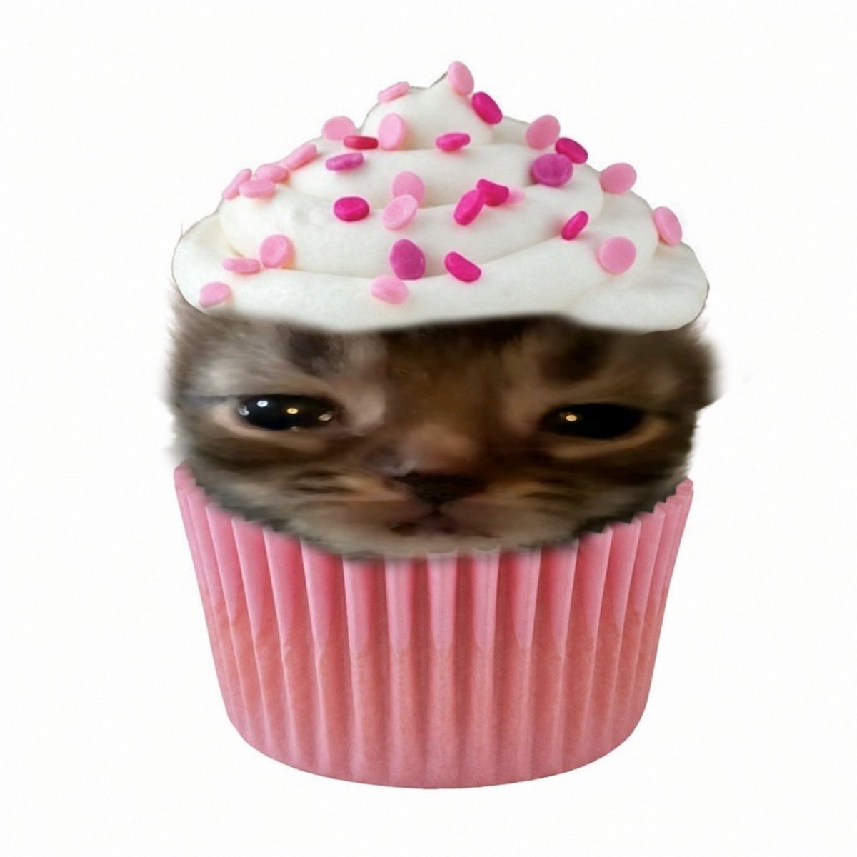 tortadefrango67's tweet photo. cupcake versão torta de frango em  breve em todas as padarias do brasil !! https://t.co/lkp1BTZgX5