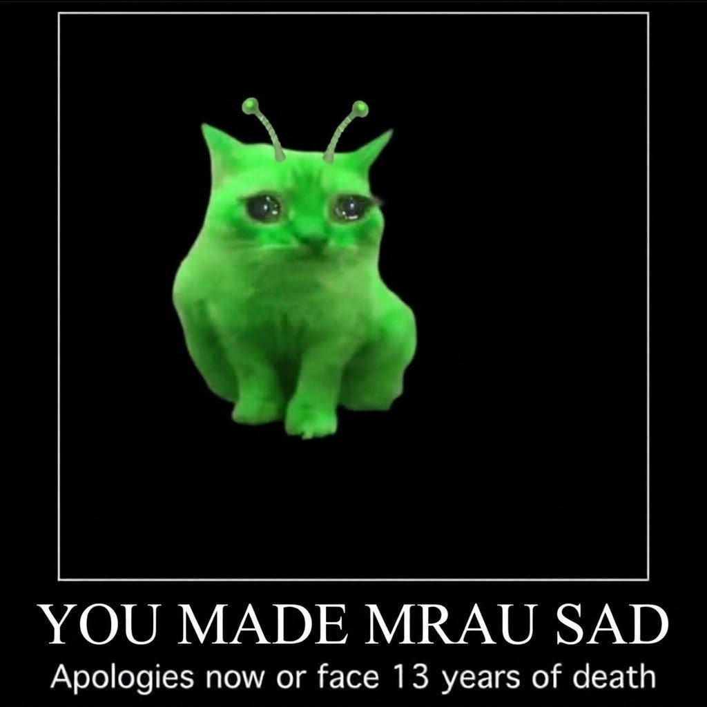 AlienCatK's tweet photo. Don't make Mrau sad. https://t.co/7ij8pbQ0Xh
