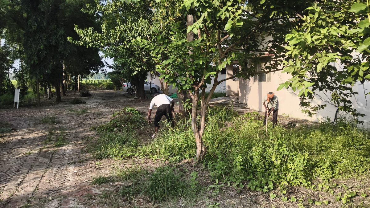 kvkunnao's tweet photo. Under #SwachhataHiSeva, KVK UNNAO is engaging the farm community in cleanliness &amp; environmental awareness. From village cleanup to tree planting, everyone is driving change for a visible impact! #ICAR #upkvk https://t.co/5S0WK9gd5M