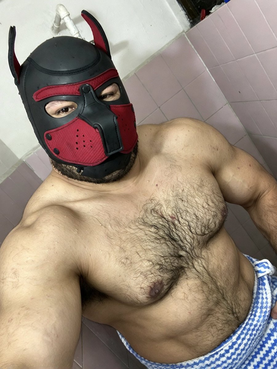 Draguerk_DR's tweet photo. Woof 💪🏋️ https://t.co/lkz9Hp8PAG
