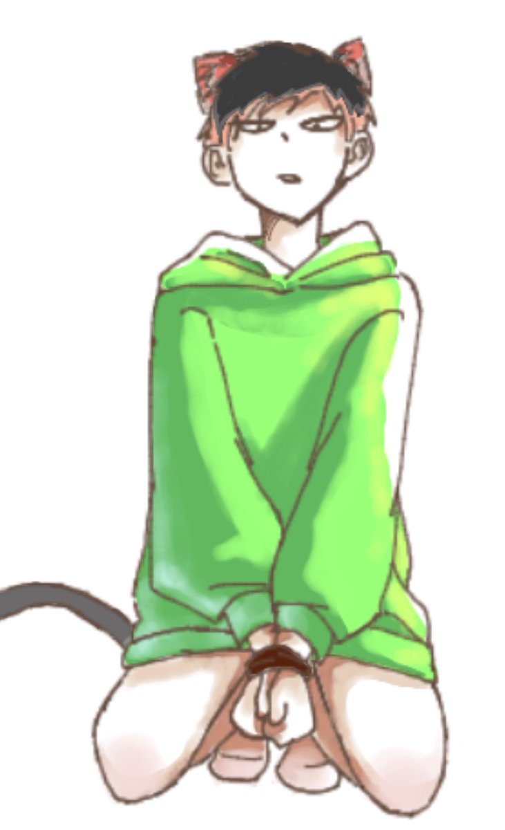 nkymw8's tweet photo. 結局みんなこういうのが好きなんだ！！
ねこktkr https://t.co/TenyvGn8nG