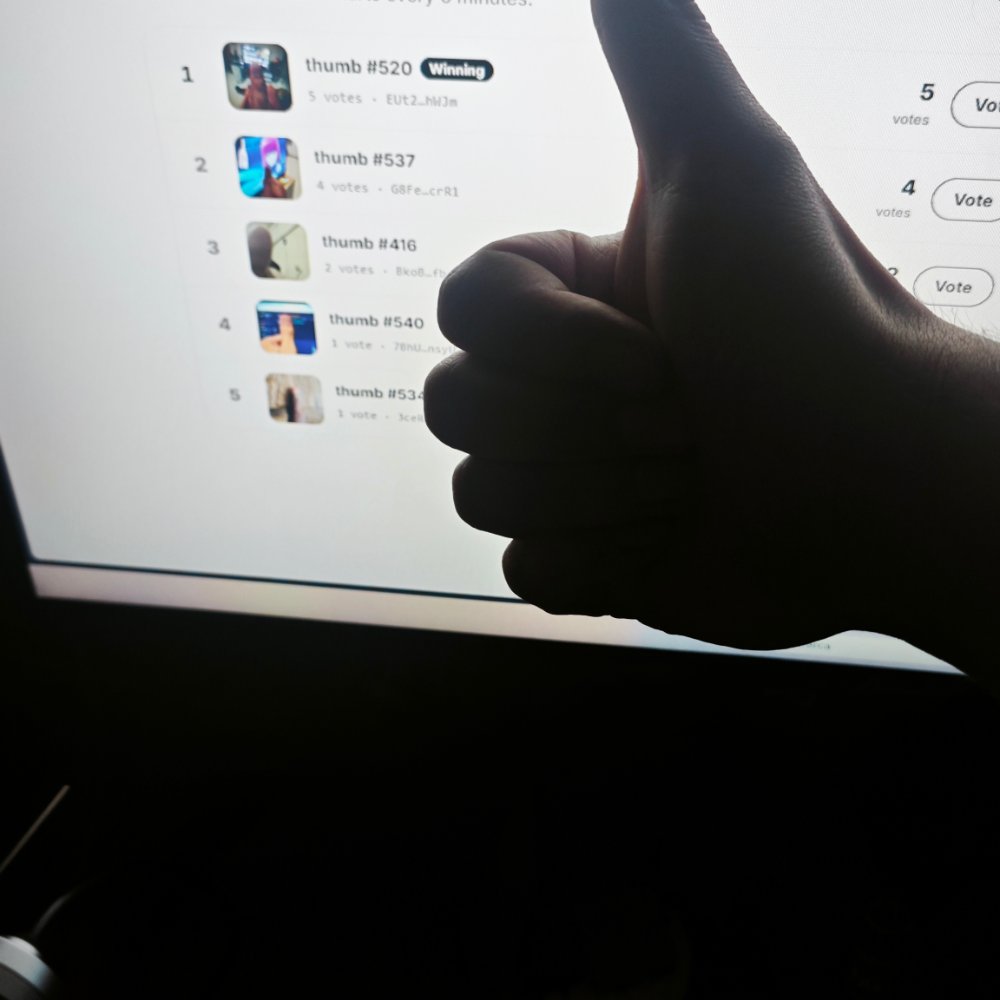 thumbyydotfun's tweet photo. thumb 554 https://t.co/vV6adTwVXL