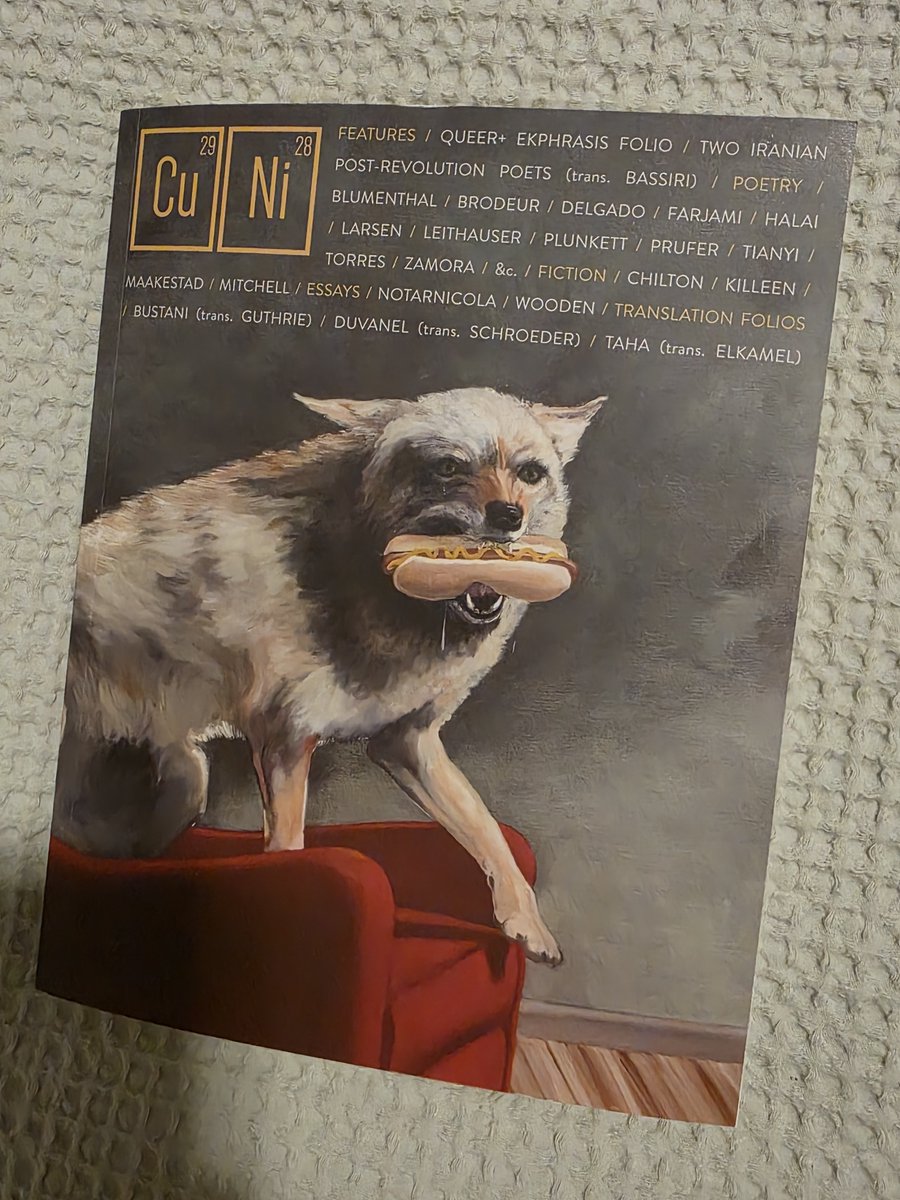 grnpointer's tweet photo. My story "Bertha Greb Day" is in the new issue of @coppernickel. It's about the Triangle Shirtwaist Fire, cell phones, and friendship. Link to order: https://t.co/k3STexeyXW