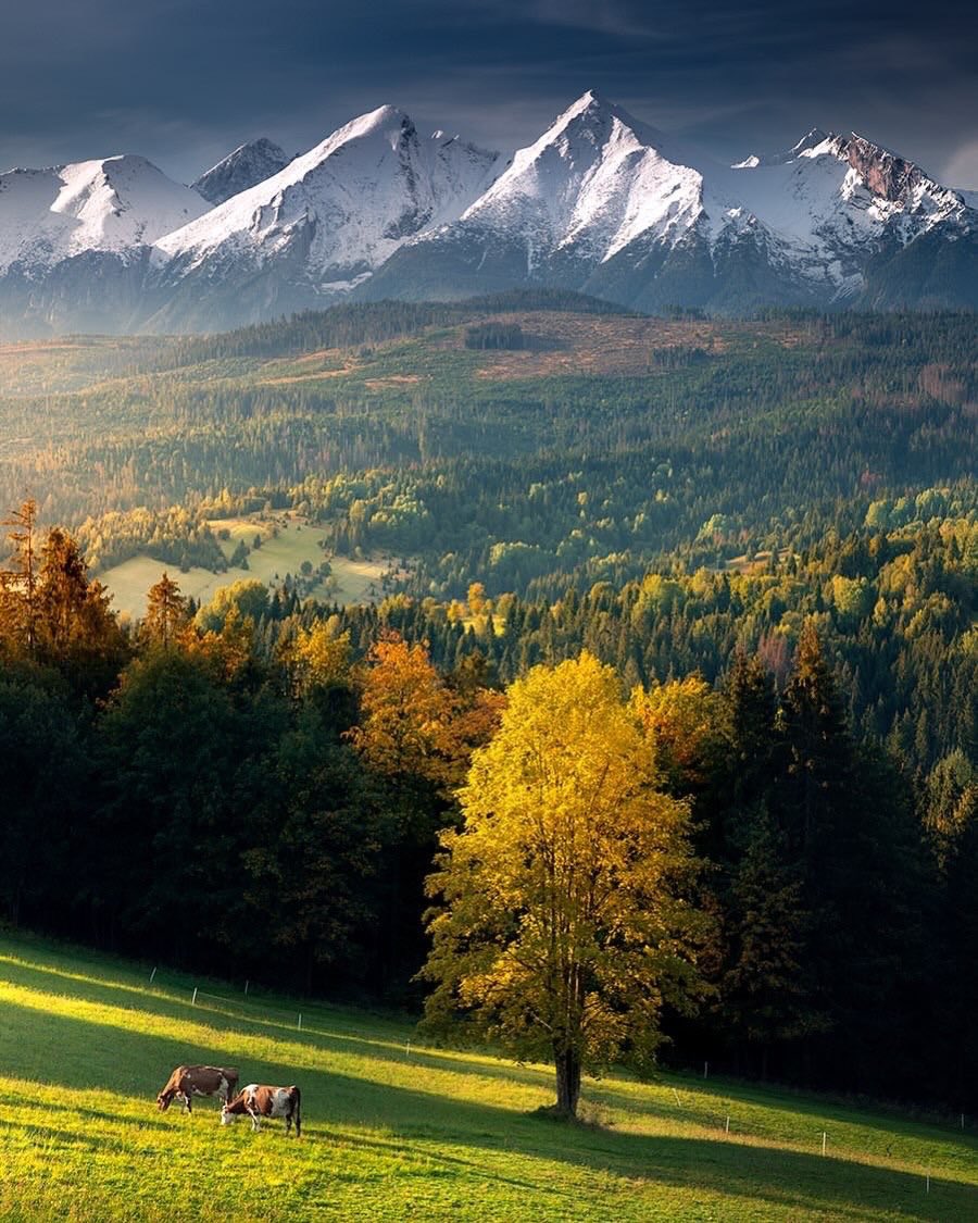 earthserenityy's tweet photo. Slovakia https://t.co/zB7DoEG4iT