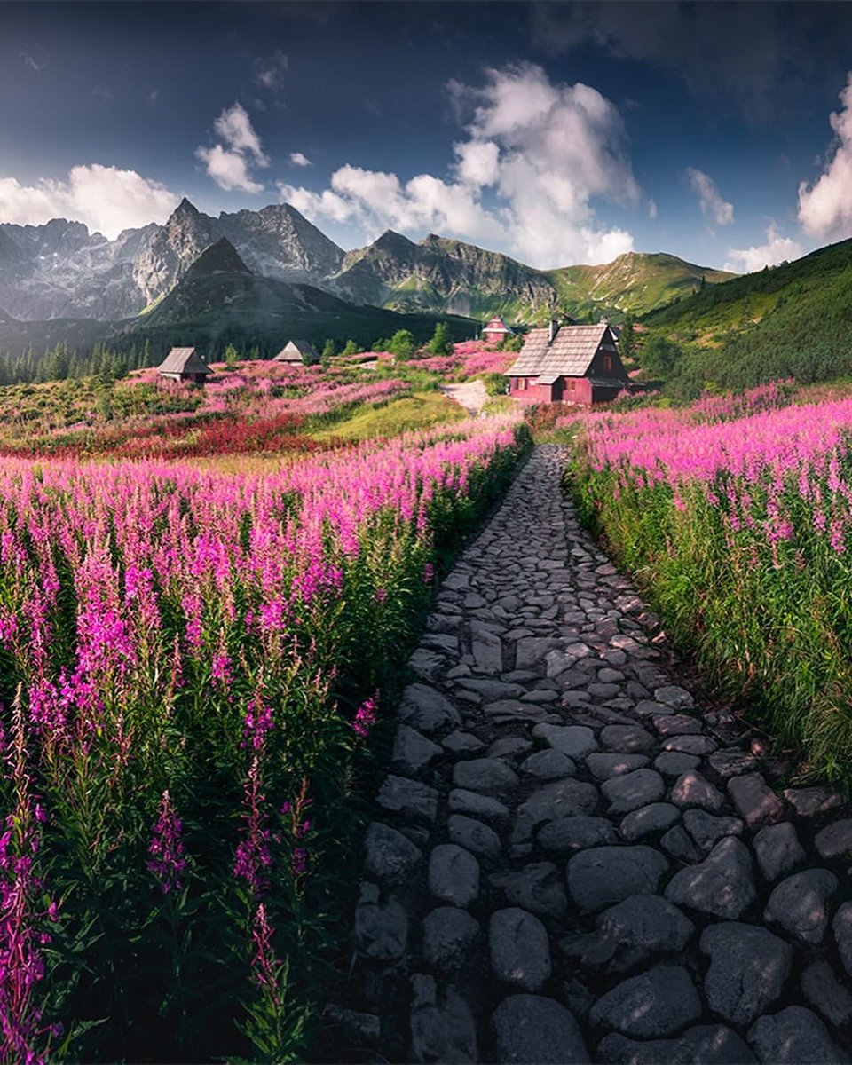 earthserenityy's tweet photo. Slovakia https://t.co/zB7DoEG4iT