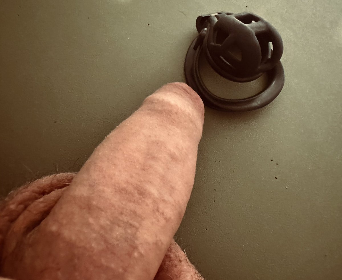 Thenotarymaster's tweet photo. If my c*ck tells you to put the cage on and submit to Locktober…
You do it,
You say thank you,
You kneel down proud of what you are 🔥🔐

https://t.co/TFRtdHLLu1 https://t.co/wqLP8xyqWL