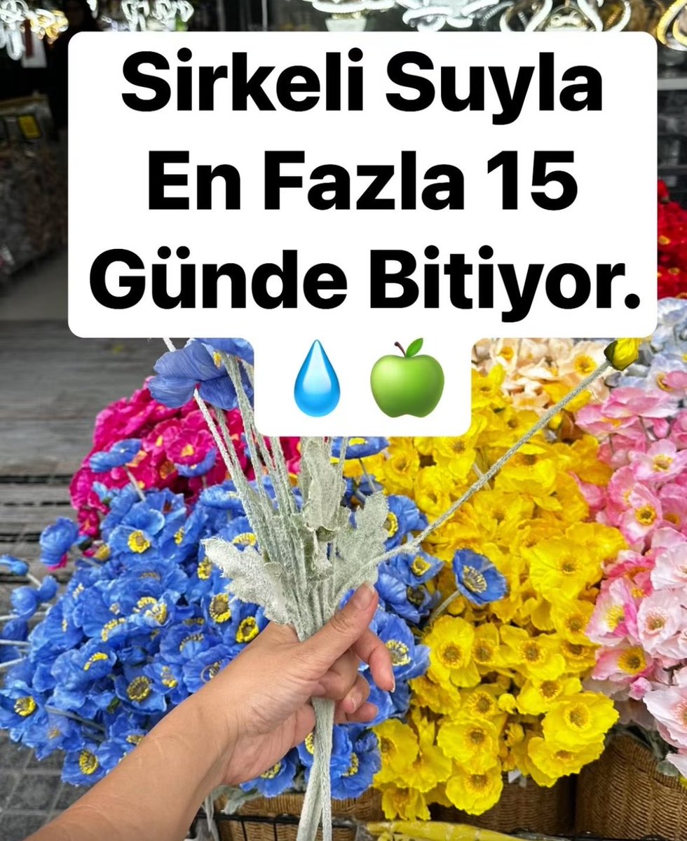 Recepsamuncu1's tweet photo. Sirkeli Suyla En Fazla 15 Günde Bitiyor. 💧🍏

Burnunuza sabah akşam yarı yarıya sulandırılmış sirke çekin. 👃✨
Orta kulak iltihabı, sinüzit, migren, guatr, uyku apnesi, horlama, geniz akıntısı, astım, bademcik, grip vb. hastalıklar.. 🤧😷 https://t.co/nTpS3uWL4E