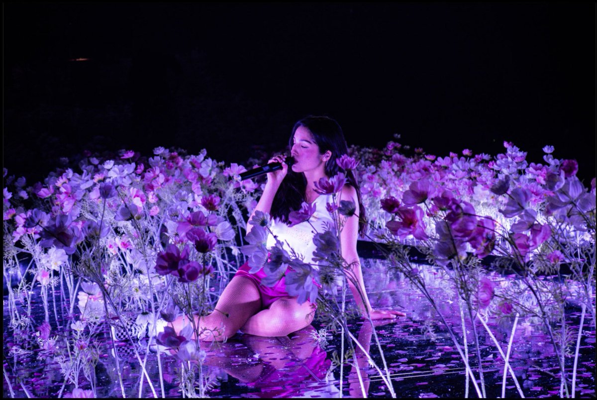 livlafluvguts's tweet photo. Olivia Rodrigo's tour is straight out of a fairytale 

📷 https://t.co/b2hDFrgQkG https://t.co/mBgwsu0htA